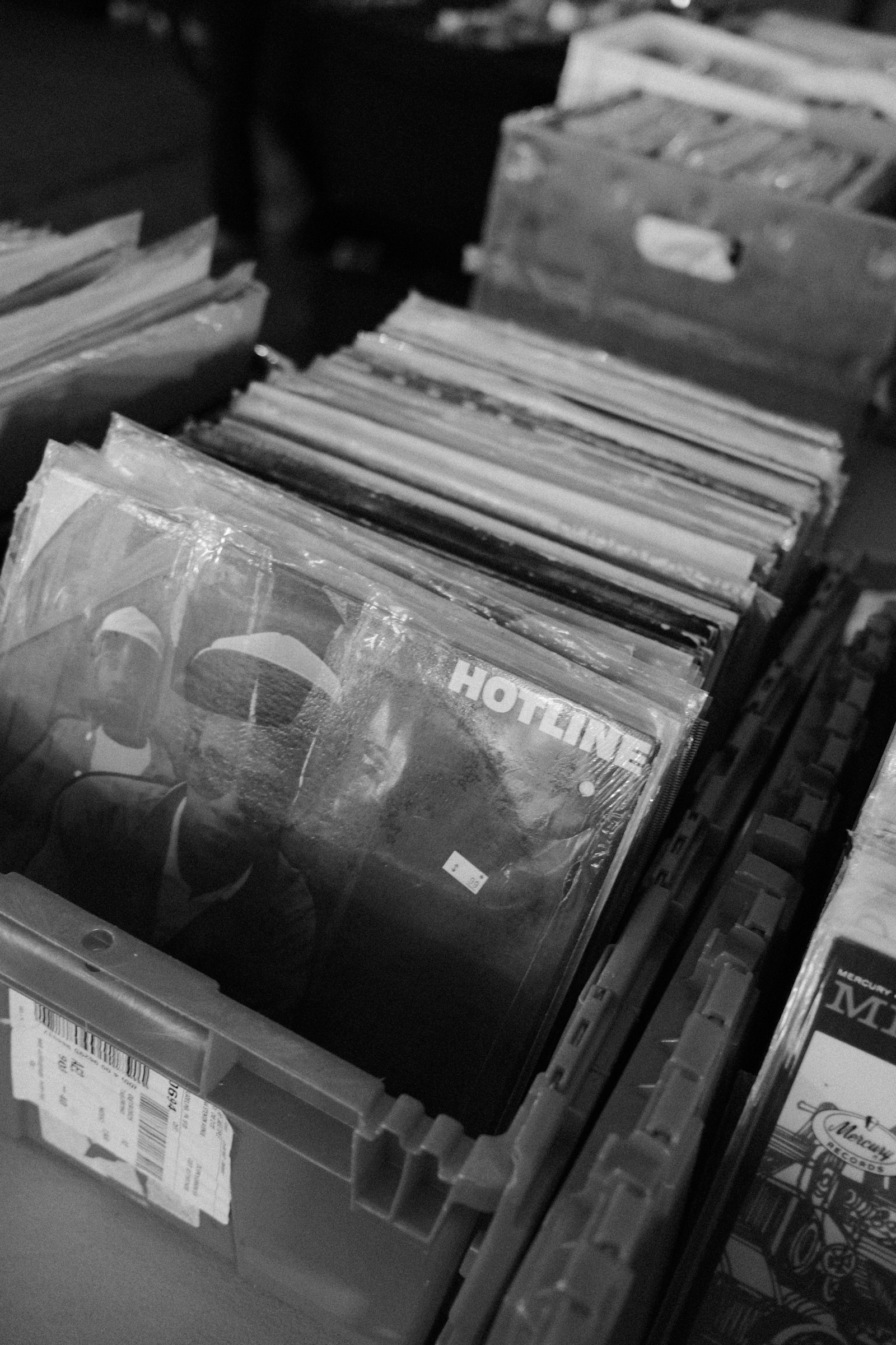 Rows of vinyl records in plastic sleeves